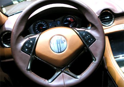 Fisker: "Saabs räddning är en galen Muller"