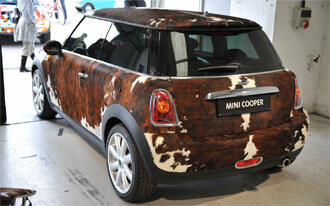 Grattis Mini, 50 år!