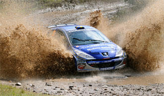 Två svenskar i rally-VM