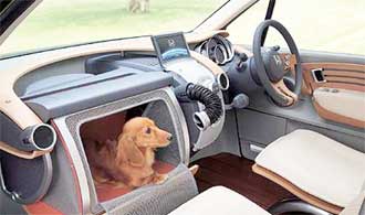 Hundar + Honda = sant