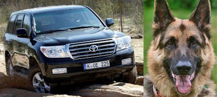 Är du miljövän - köp hellre suv än hund!