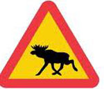 Vilken bil är älgsäkrast?