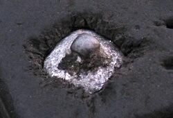 BRANDT: Vägverket bor på en annan planet