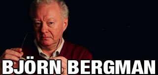 Bergman: Elmotor, hur kul är det!