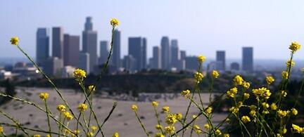 Kalifornien får världens strängaste miljökrav