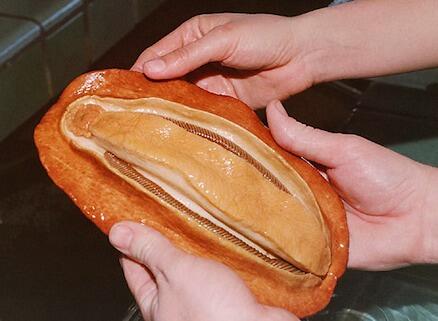 Sniglars tänder kan skapa nya superbatterier