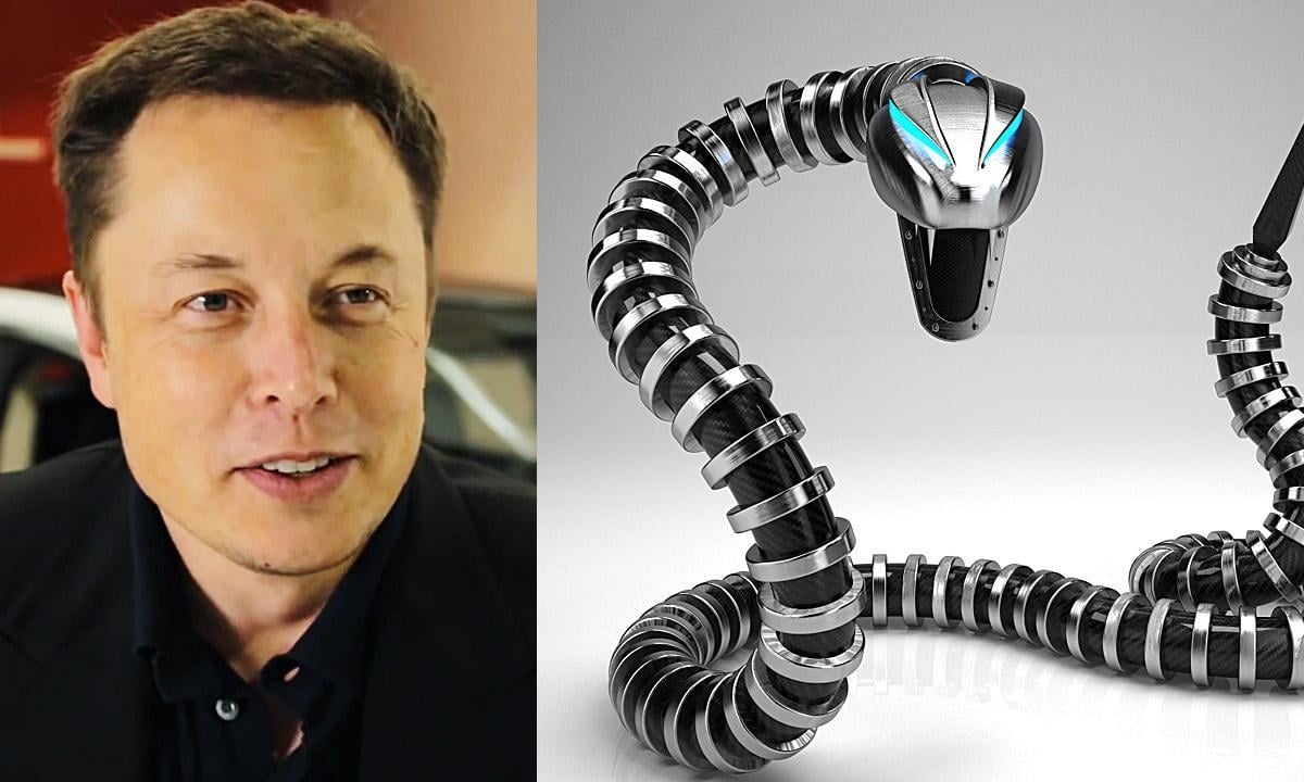 Elon Musks slanga "är en konceptbil som kommer att avslöjas på den kommande Elon Musk-bilutställningen. (AI text)
