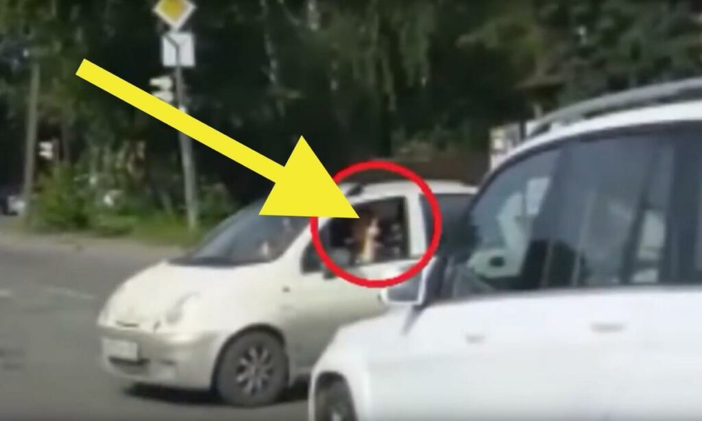 En bil kör nerför gatan med en person i baksätet. (AI text)