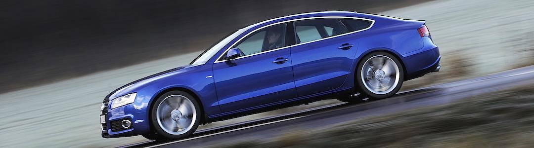 Det är svårt att hitta en Audimodell där de aktuella dieselmotorerna inte fanns med som alternativ under perioden 2008–2014.