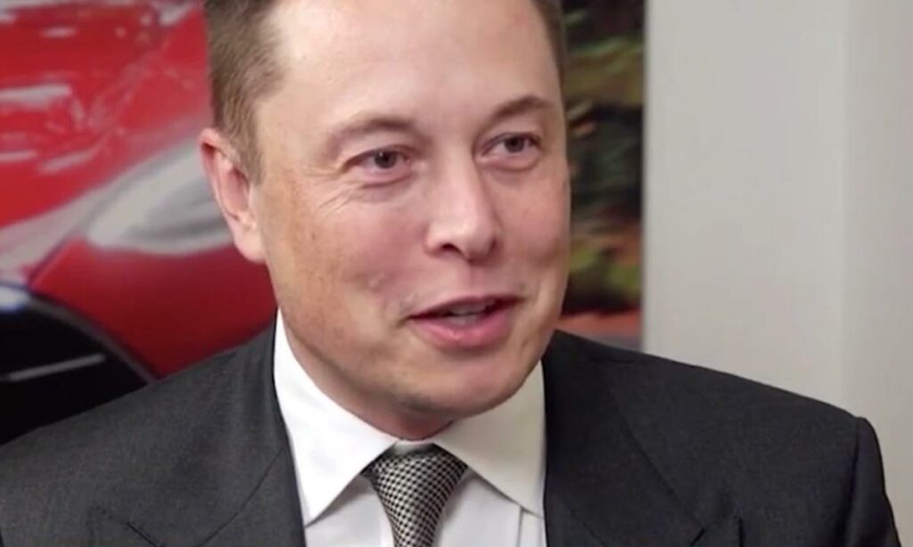 Tesla Motors' president talar med en reporter. (AI text)