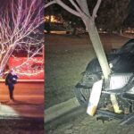 En bil står parkerad i en parkeringsplats med ett träd i bakgrunden. (AI text)