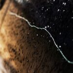 En bil är parkerad i en parkeringsplats. (AI text)