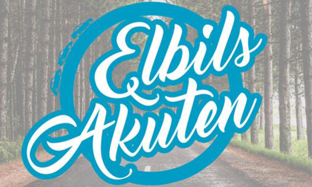 Elbs akuten - en bil i skogen (AI text)