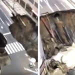 Två bilar ses på gatan. (AI text)