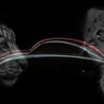 Serva en Saab - och rädda utrotningshotade djur.