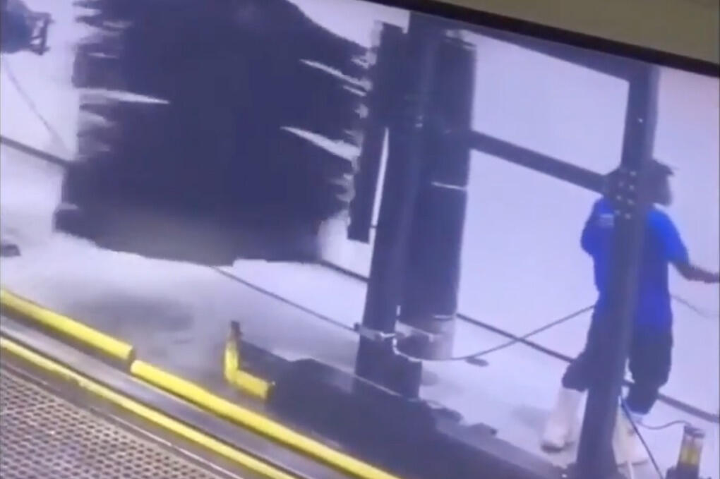 Den stora borsten till vänster siktar in sig på sitt offer... det kommer att gå illa... se filmen nedan.