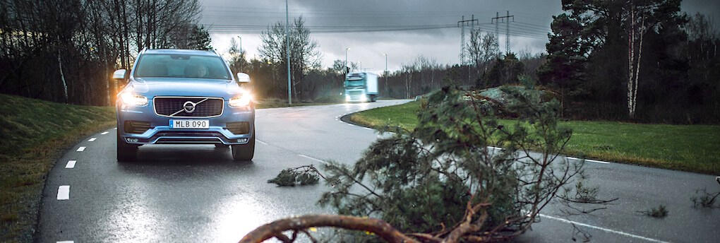En bil kör nedför en väg med ett träd på den. (AI text)