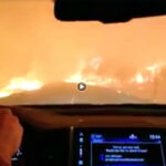 Skulle du våga köra bil rakt igenom en skogsbrand? Kanske om inget alternativ fanns.