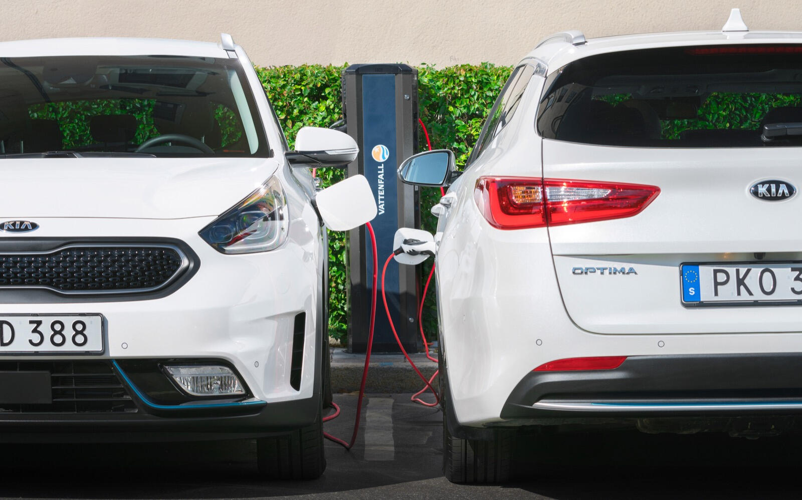 Två elbilar parkerade bredvid varandra. (AI text)