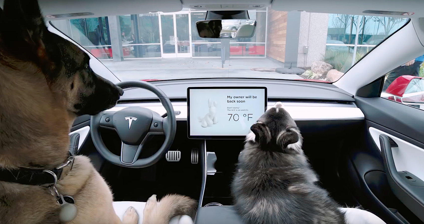 Två hundar i en bil. (AI text)