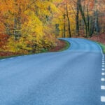 En väg i hösten. (AI text)