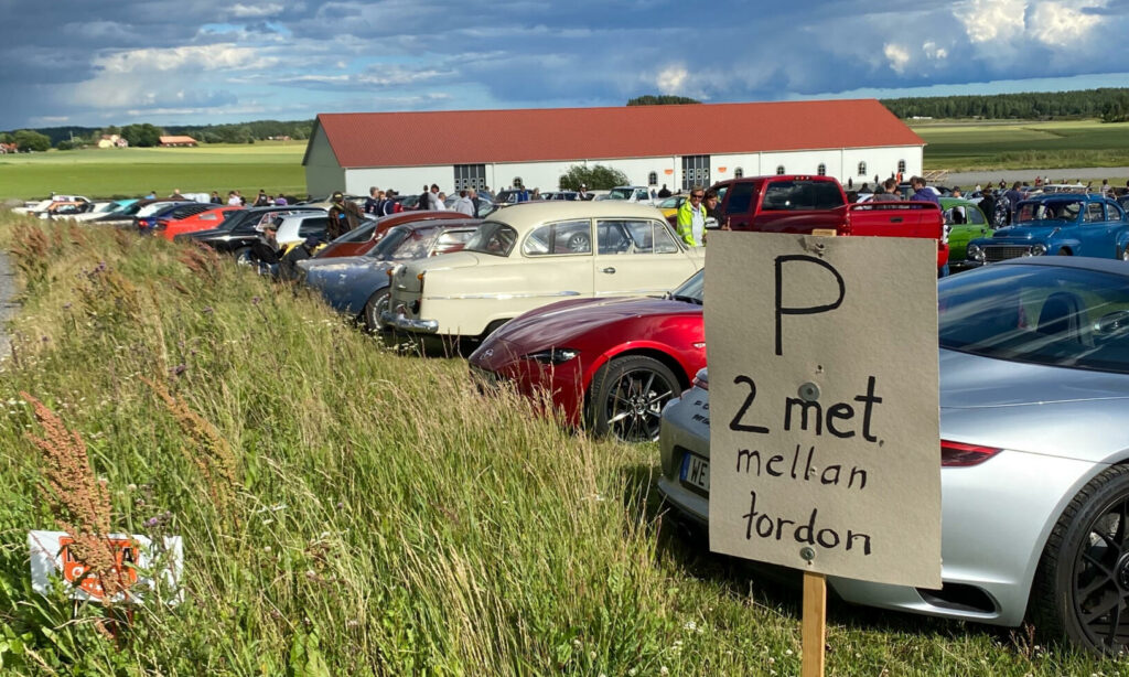 en grupp bilar parkerade på en gräsmatta (AI text)