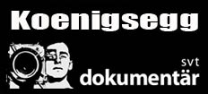 En bil med en man i förarsätet. (AI text)