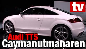 Audi TTS Coupé Cayman Naren (AI text)