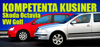 En bil står parkerad i en parkeringsplats. (AI text)