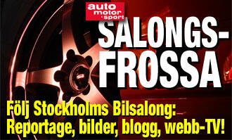 frysrum i köttaffär - reportage (AI text)