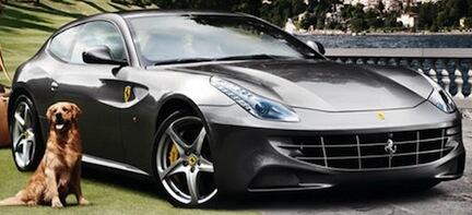 En Ferrari F12 GTS parkerad bredvid en hund. (AI text)