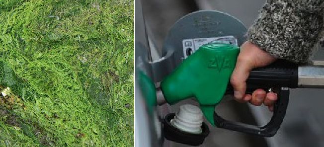 En kvinna fyller på sin bil med bensin. (AI text)