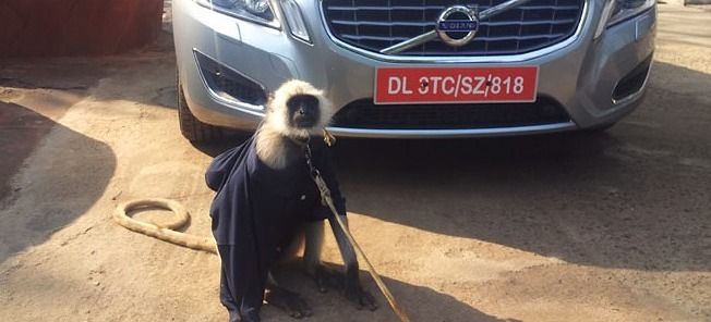 En apa står bredvid en bil. (AI text)