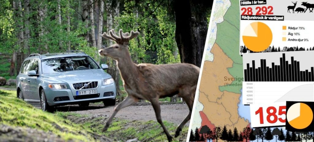 En bil kör nedför en väg med en hjort i bakgrunden. (AI text)