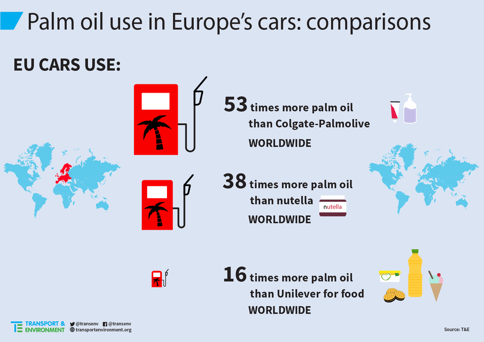 Biodiesel med palmolja blir vanligare: 