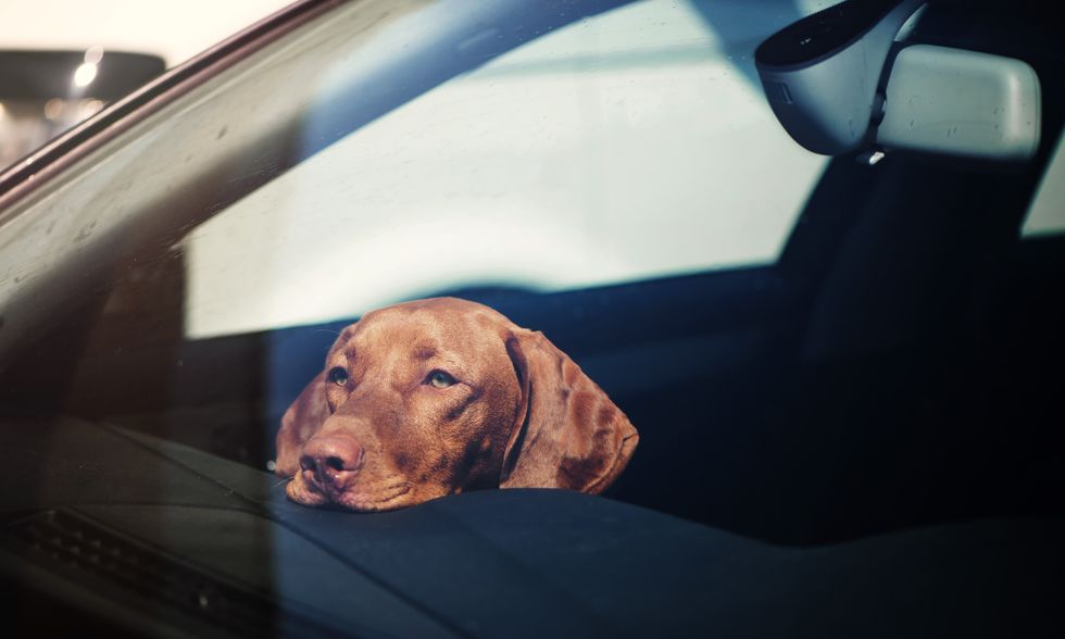 Ny lag om barn i varma bilar – Tesla utvecklar en lösning