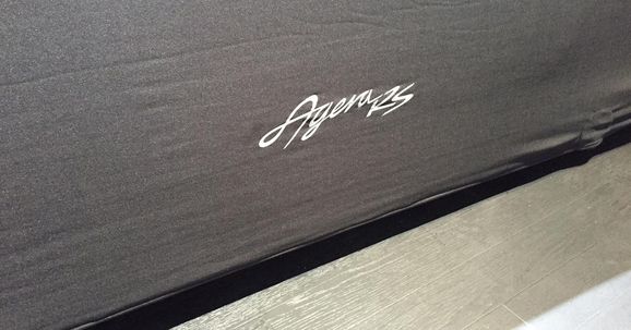 Älskade Genèvesalong!