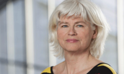 Förslaget får kritik: 