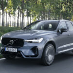 Flera Volvoägare har blivit utelåsta från sina bilar efter att deras bilars mjukvara uppdaterats.