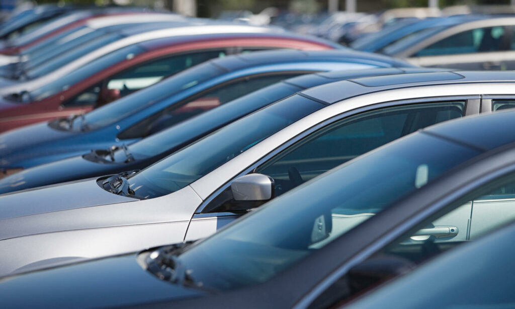 Vitt, grått och svart är de vanligaste färgerna.