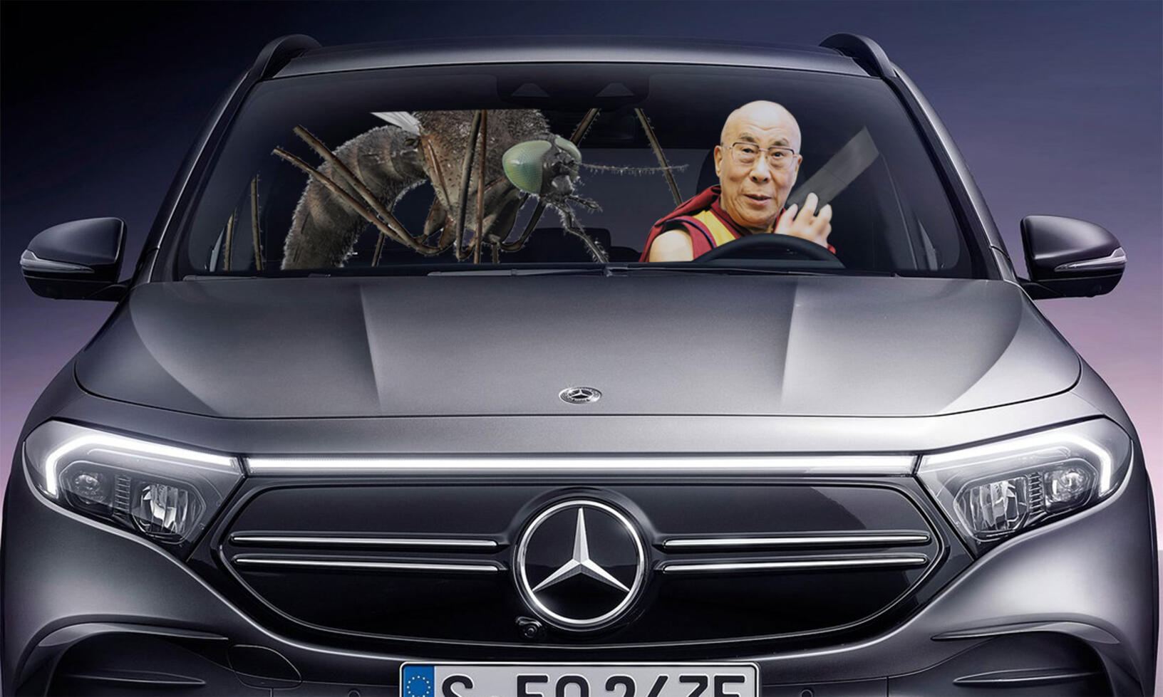 Vad har en mygga och Dalai Lama att göra med AMG:s elbilar? Läs så får du veta.