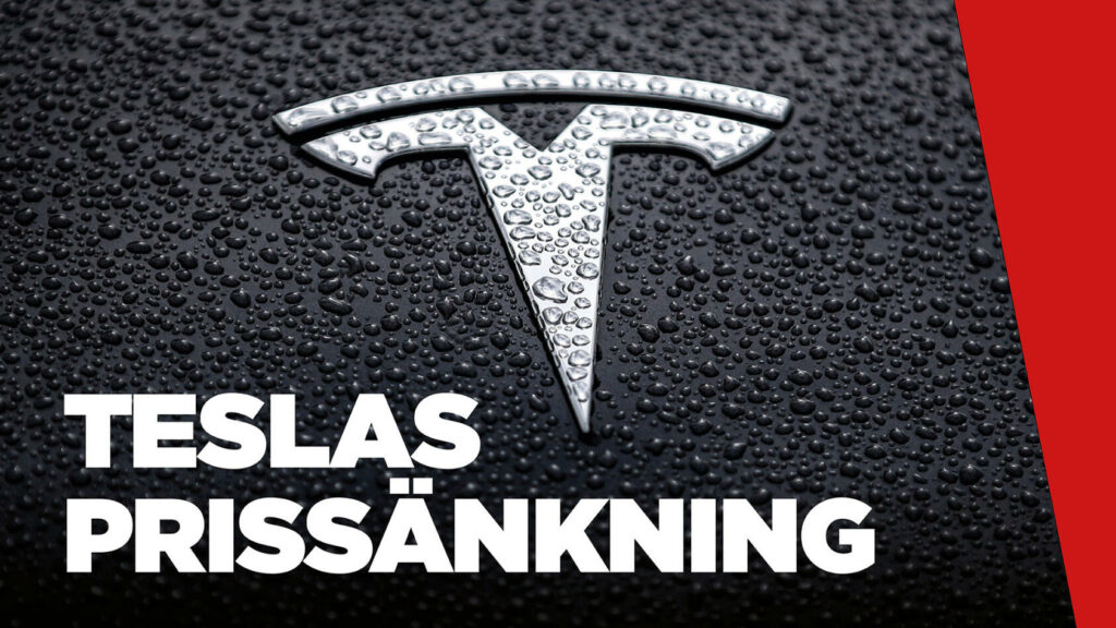 Tesla har satt bilmarknaden i gungning. Vi frågade flera experter på elbilsmässan om vad effekterna kan bli.