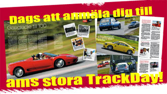 En bild med en bil och en hund. (AI text)