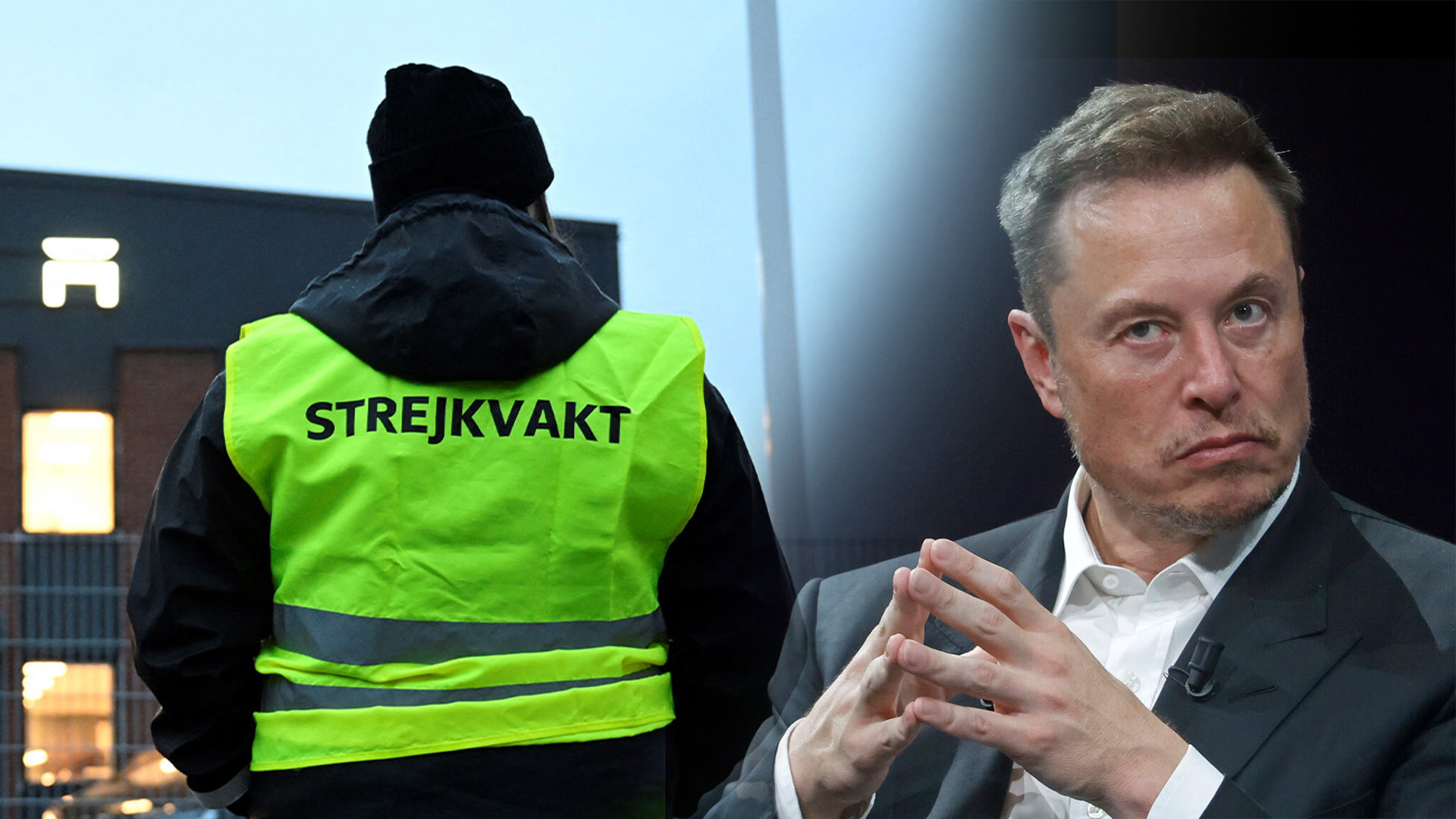 Elon Musk's Elon (AI text)