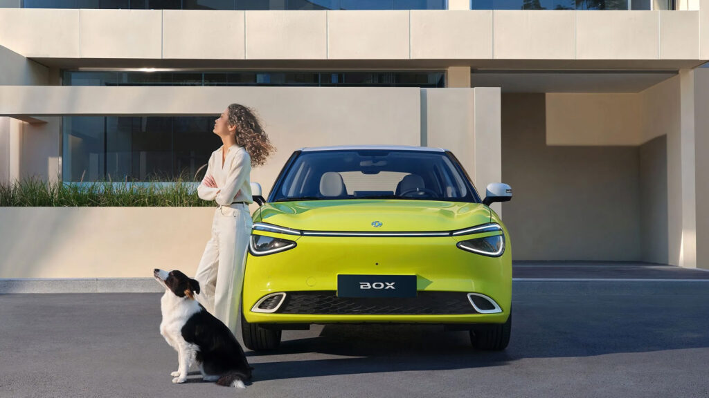 En kvinna och hunden står bredvid en grön elbil. (AI text)