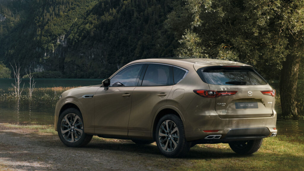 En person kör en bil i en skog. (AI text)