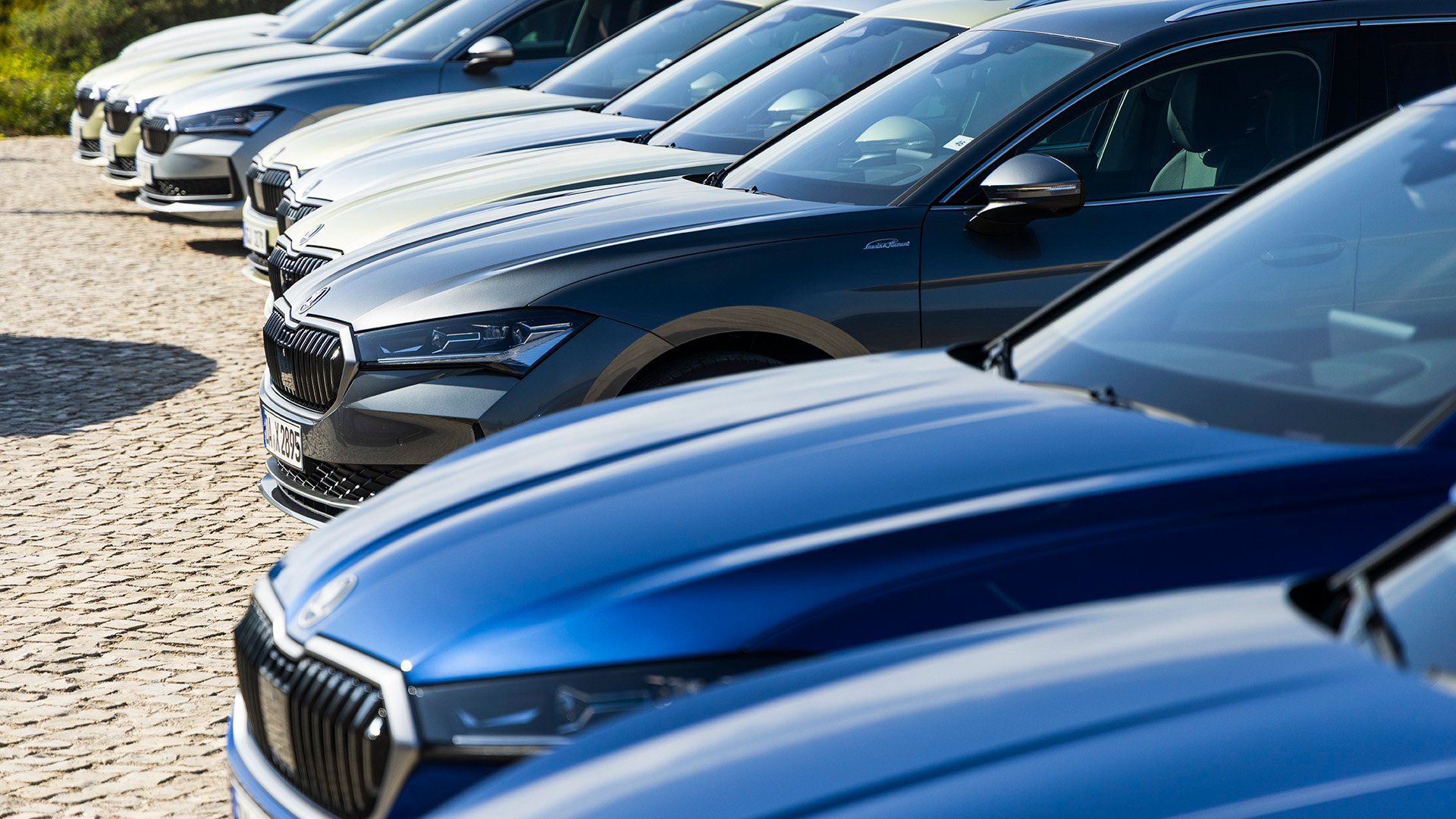 Skoda Superb i lång rad