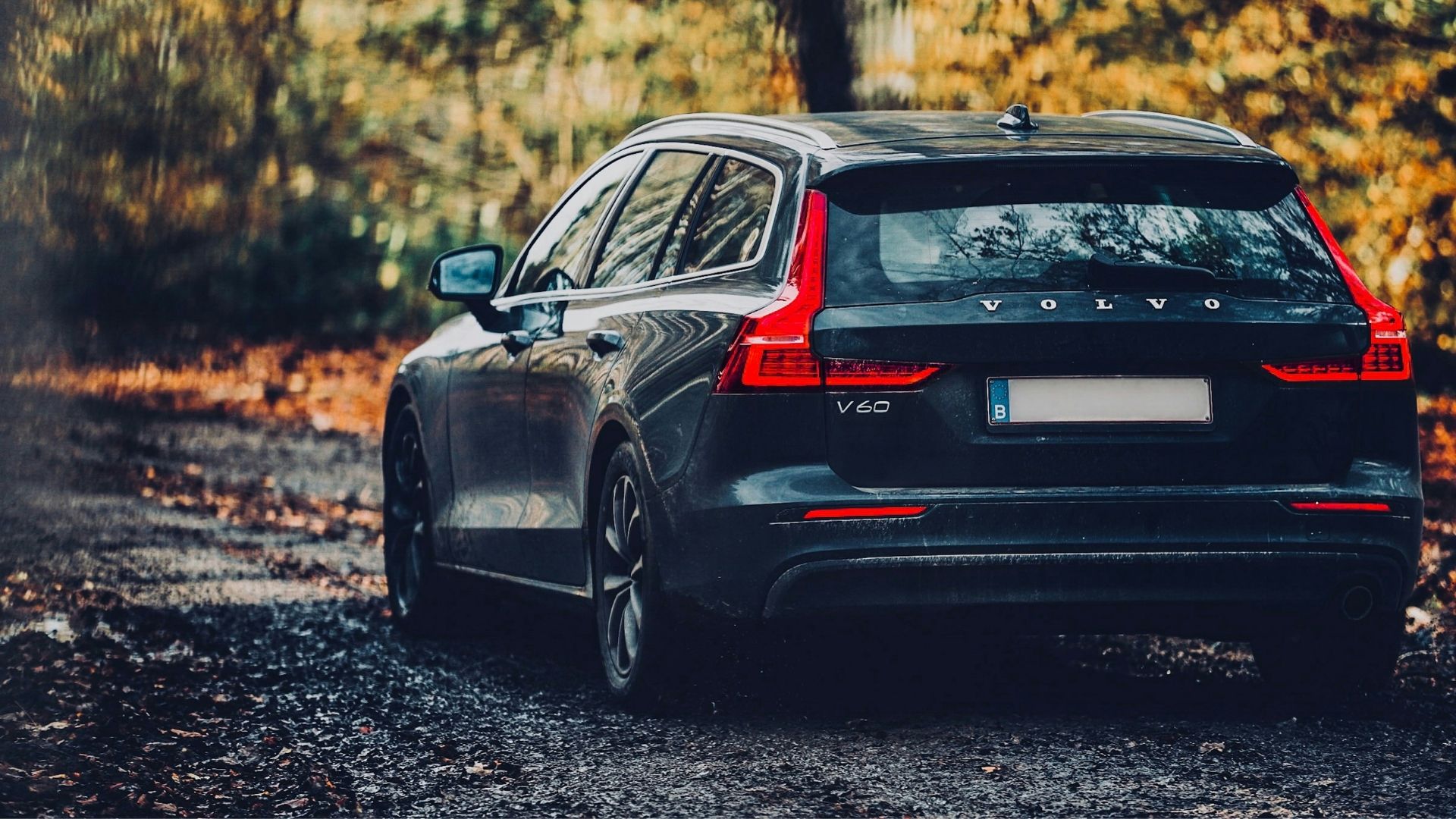 Volvo V60 kombi parkerad på skogsväg under höstfärger