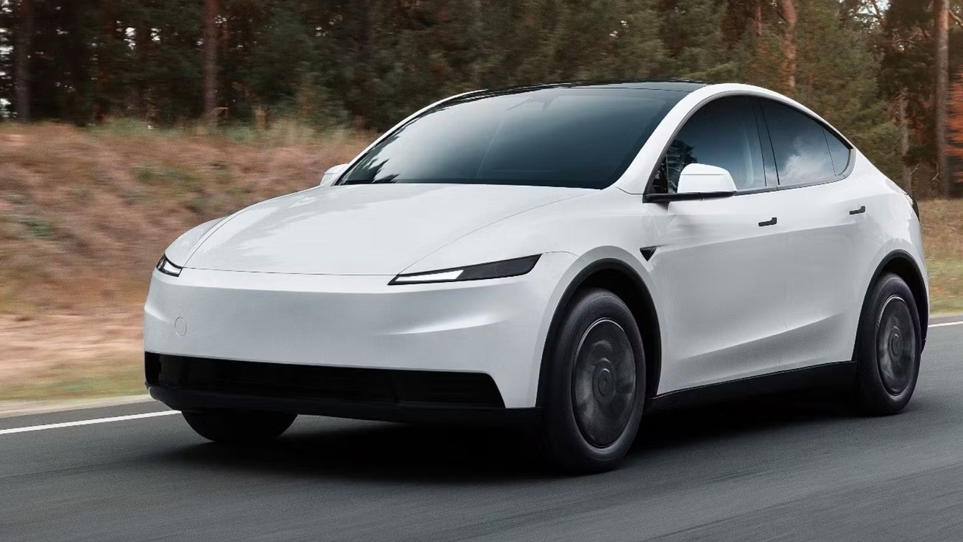 Tesla Model Y i artikel om global bilförsäljning