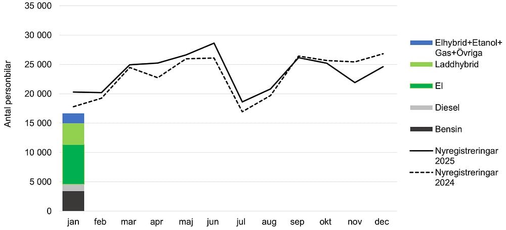 Fördelning av nyregistrerade bilar under 2025
